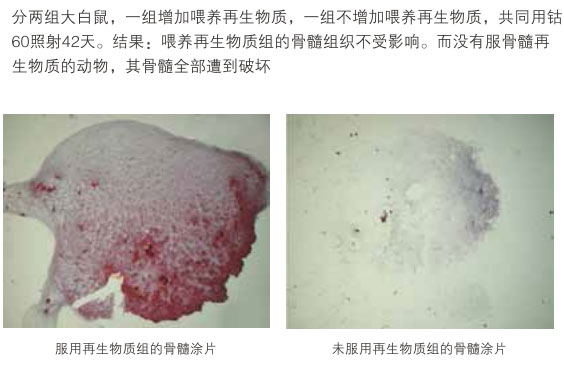 菲彩国际集团_七、综合器官的原位再生回复：(执行医生：徐荣祥、肖摩、方进勇等)