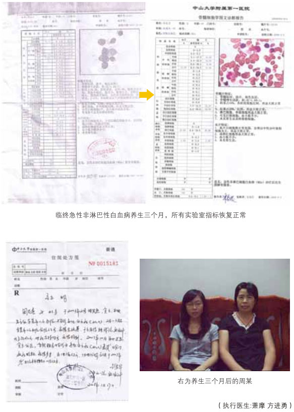 菲彩国际集团_七、综合器官的原位再生回复：(执行医生：徐荣祥、肖摩、方进勇等)