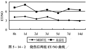 菲彩国际集团_烧伤湿性医疗手艺改善烧伤创面瘀滞区微循环的研究报告（2）