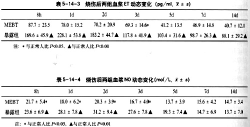 菲彩国际集团_烧伤湿性医疗手艺改善烧伤创面瘀滞区微循环的研究报告（2）