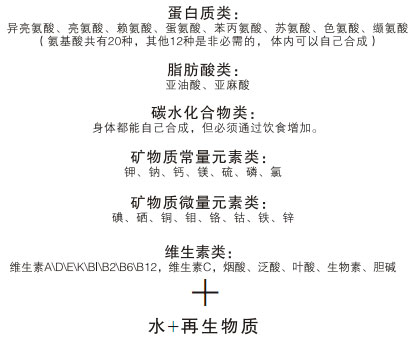 菲彩国际集团_三、食物组合