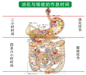 菲彩国际集团_五、怎样用饭？？？