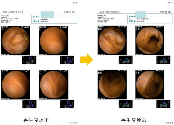 菲彩国际集团_六、朽迈的细胞是怎样再生的呢？？？？？