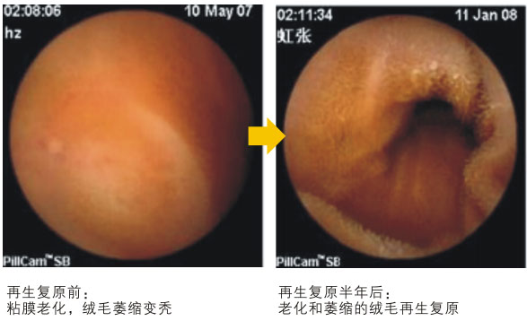 菲彩国际集团_六、朽迈的细胞是怎样再生的呢？？？？？