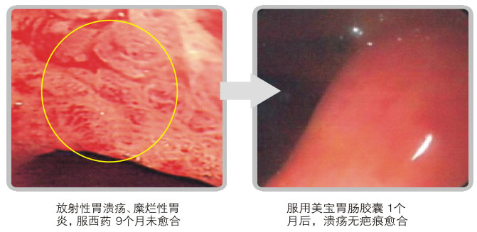 菲彩国际集团_六、使用要领