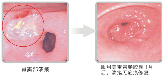 菲彩国际集团_六、使用要领