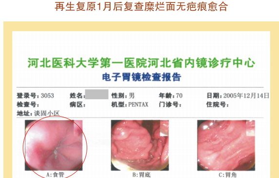 菲彩国际集团_七、临床验证
