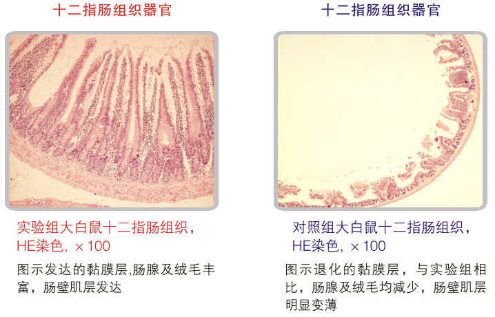 菲彩国际集团_五、科学验证
