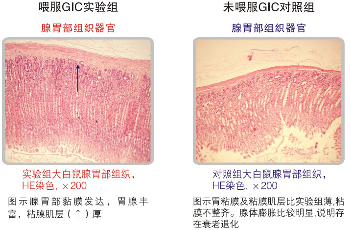 菲彩国际集团_五、科学验证