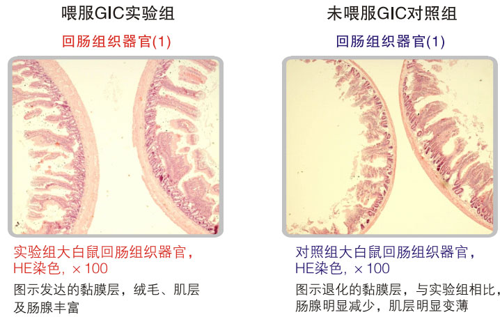 菲彩国际集团_五、科学验证