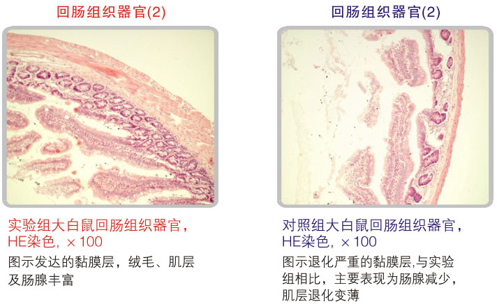 菲彩国际集团_五、科学验证