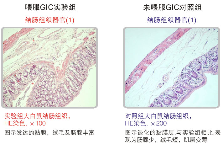 菲彩国际集团_五、科学验证