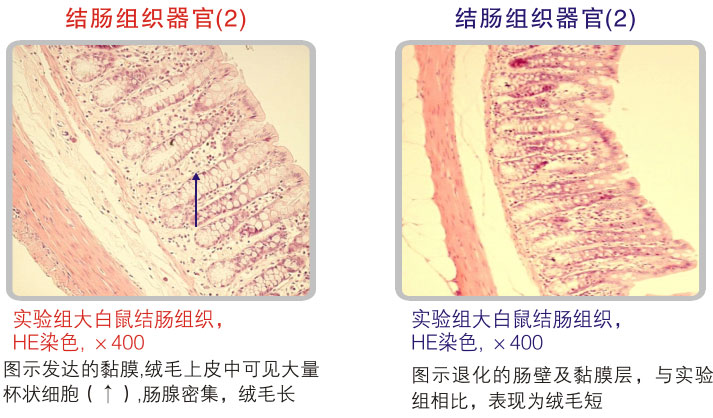 菲彩国际集团_五、科学验证