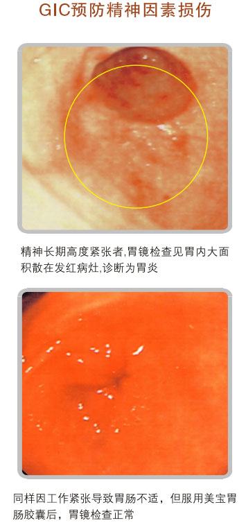 菲彩国际集团_五、科学验证