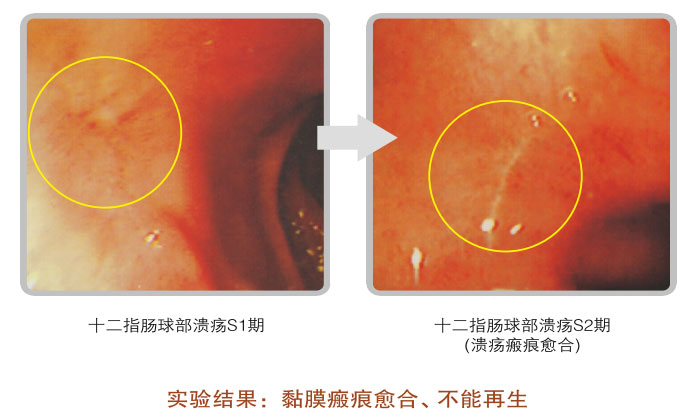 菲彩国际集团_五、科学验证