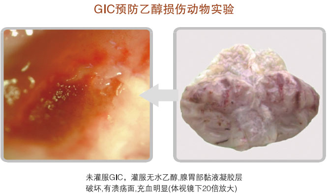 菲彩国际集团_五、科学验证