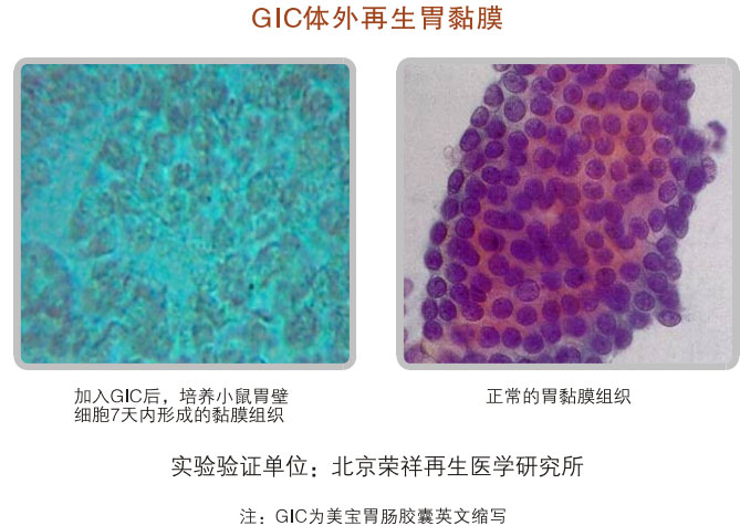 菲彩国际集团_五、科学验证