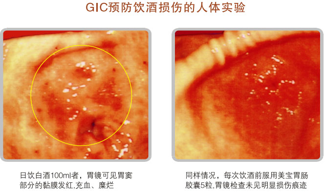菲彩国际集团_五、科学验证