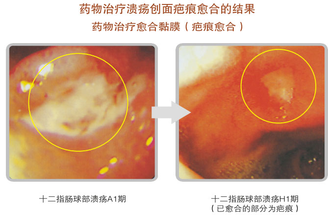 菲彩国际集团_五、科学验证