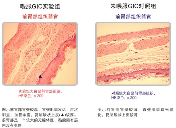 菲彩国际集团_五、科学验证