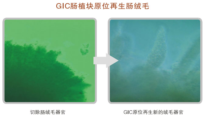 菲彩国际集团_五、科学验证