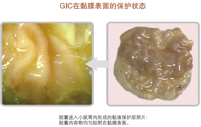 菲彩国际集团_五、科学验证