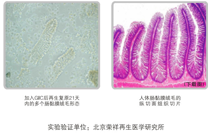 菲彩国际集团_五、科学验证