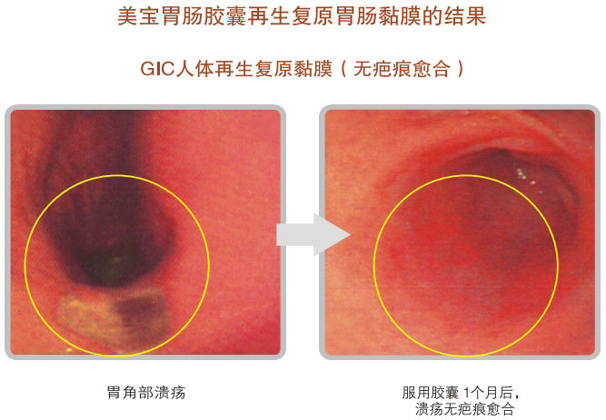 菲彩国际集团_五、科学验证