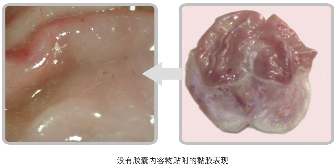 菲彩国际集团_五、科学验证