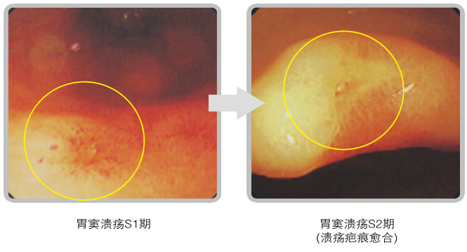 菲彩国际集团_五、科学验证