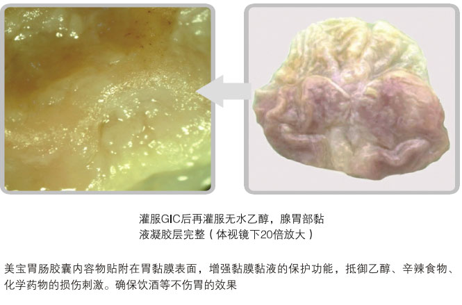 菲彩国际集团_五、科学验证
