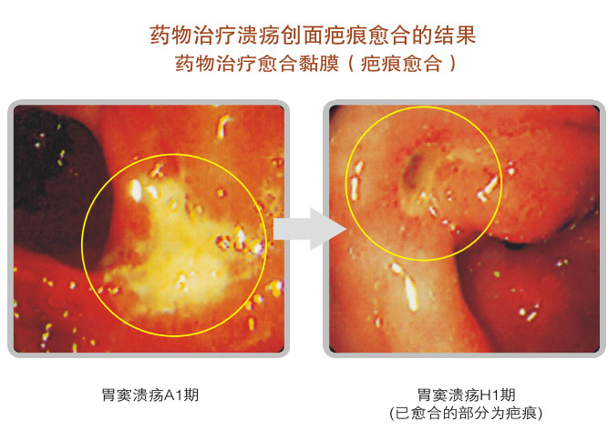 菲彩国际集团_五、科学验证