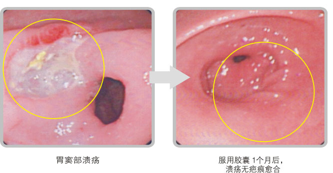 菲彩国际集团_五、科学验证