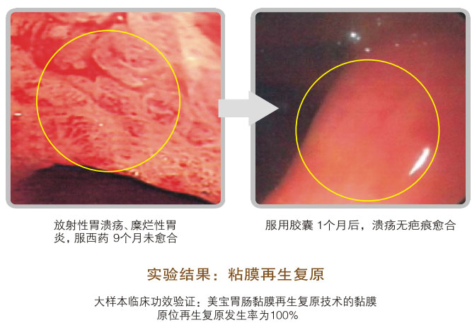 菲彩国际集团_五、科学验证