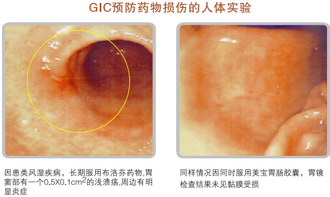 菲彩国际集团_五、科学验证