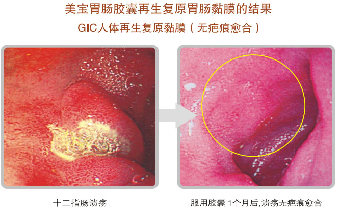 菲彩国际集团_五、科学验证