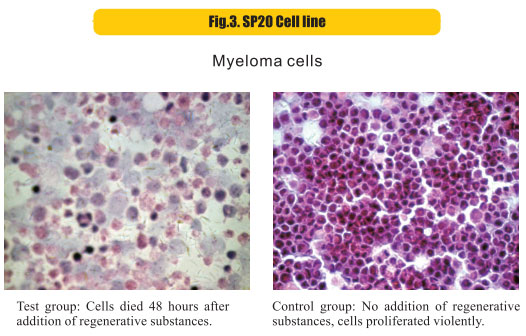 菲彩国际集团_8  Research on rResearch on regenerative anti-cancer