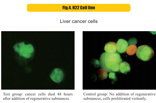 菲彩国际集团_8  Research on rResearch on regenerative anti-cancer