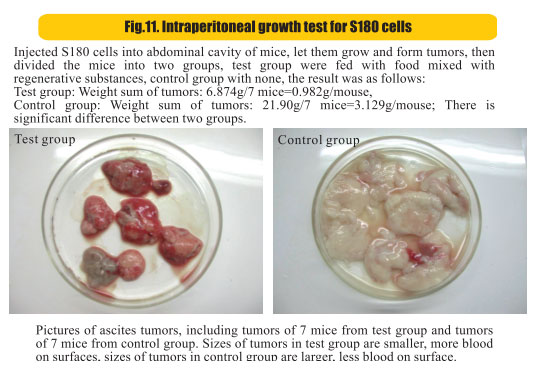 菲彩国际集团_8  Research on rResearch on regenerative anti-cancer