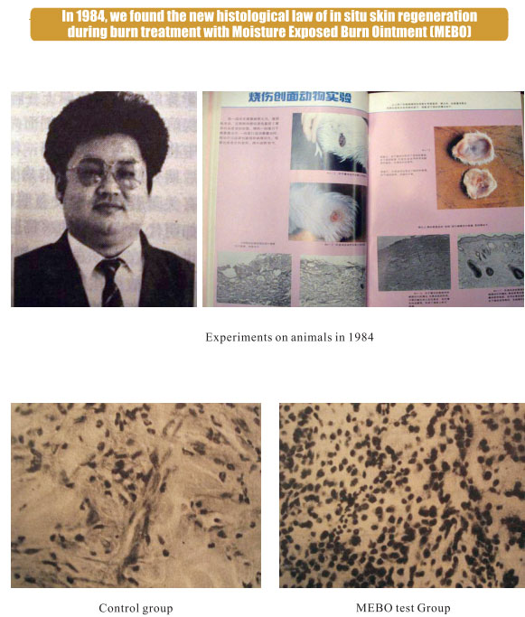 菲彩国际集团_1.  The earliest period of histological discovery
