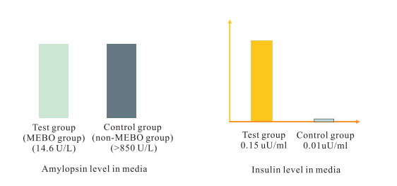 菲彩国际集团_3. Period of repetition of in vitro animal cloning tests (19