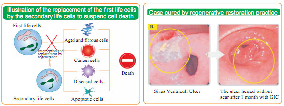菲彩国际集团_Basis of human body regeneration