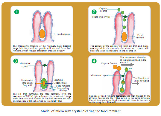 菲彩国际集团_Part Four: Research about the Effects and Mechanisms