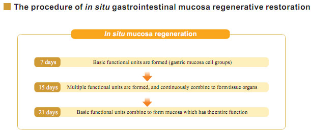 菲彩国际集团_Part Four: Research about the Effects and Mechanisms