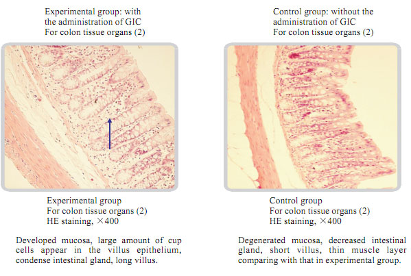 菲彩国际集团_Part Five: Scientific Corroboration