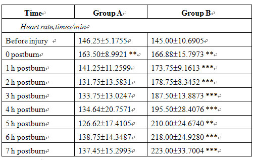 菲彩国际集团_A Comparative Study on the Antishock Effect Between BRT with