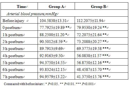 菲彩国际集团_A Comparative Study on the Antishock Effect Between BRT with