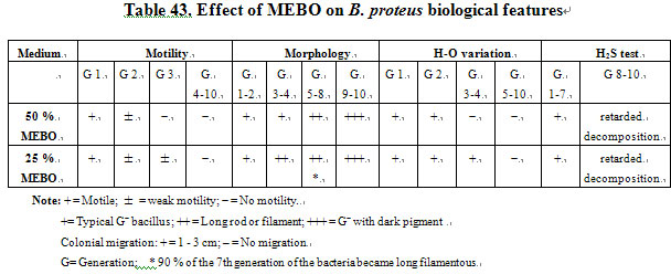 菲彩国际集团_Primary Exploration on the Mechanism of the Anti-Infection E