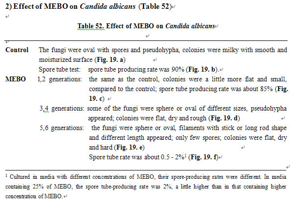 菲彩国际集团_Experimental Research on the Anti-Anaerobic and Anti-Fungal