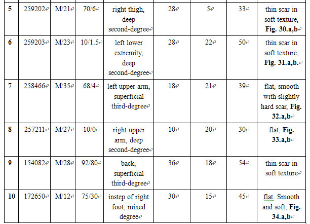 菲彩国际集团_Pathomorphological Changes of Deep Burns Wounds Treated with